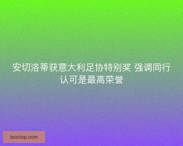 安切洛蒂获意大利足协特别奖 强调同行认可是最高荣誉