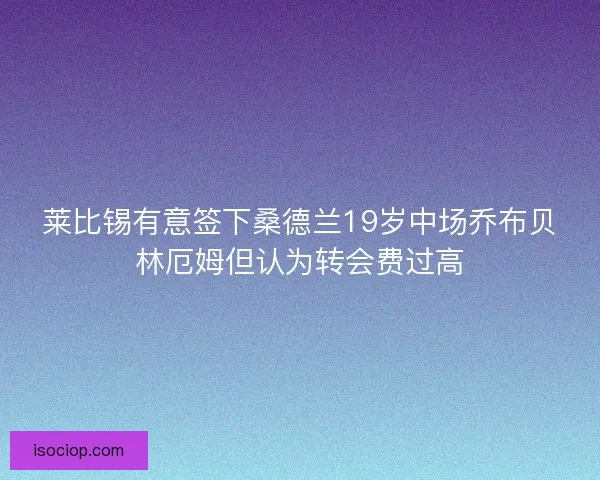 莱比锡有意签下桑德兰19岁中场乔布贝林厄姆但认为转会费过高