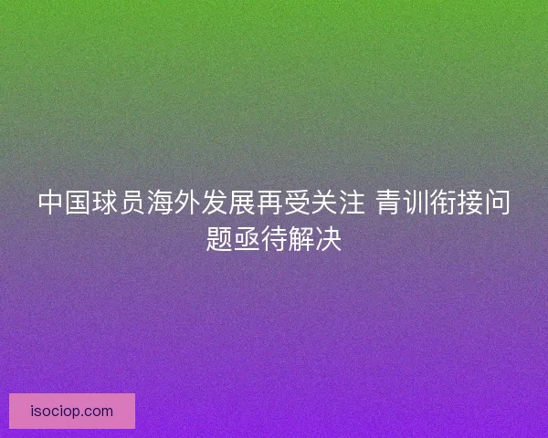 中国球员海外发展再受关注 青训衔接问题亟待解决
