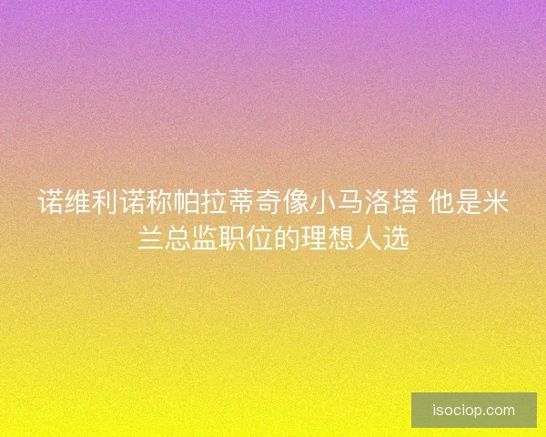 诺维利诺称帕拉蒂奇像小马洛塔 他是米兰总监职位的理想人选
